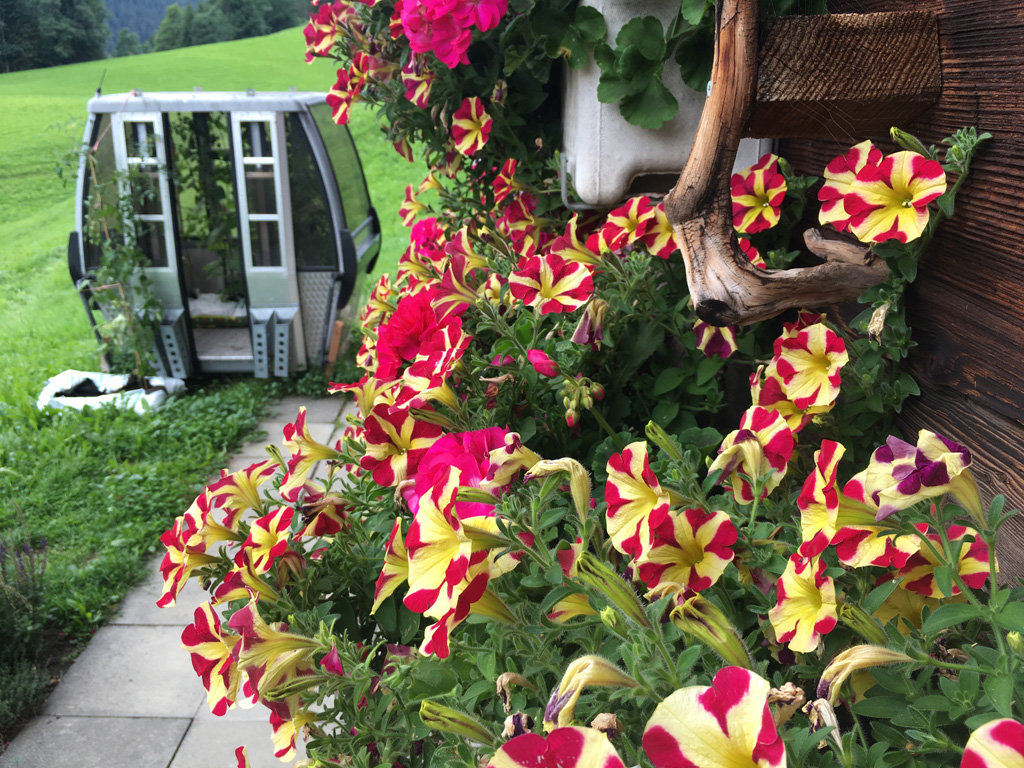Du betrachtest gerade Üppige Ernte und Blumenpracht