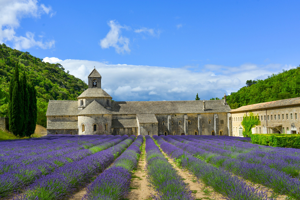 Mehr über den Artikel erfahren Flussreise mit der Excellence Rhône: Lavendelblüte in der Provence