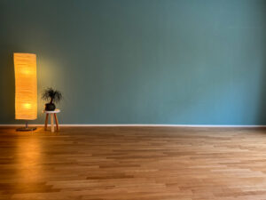 Nautilus-Studio-Thun-Saal